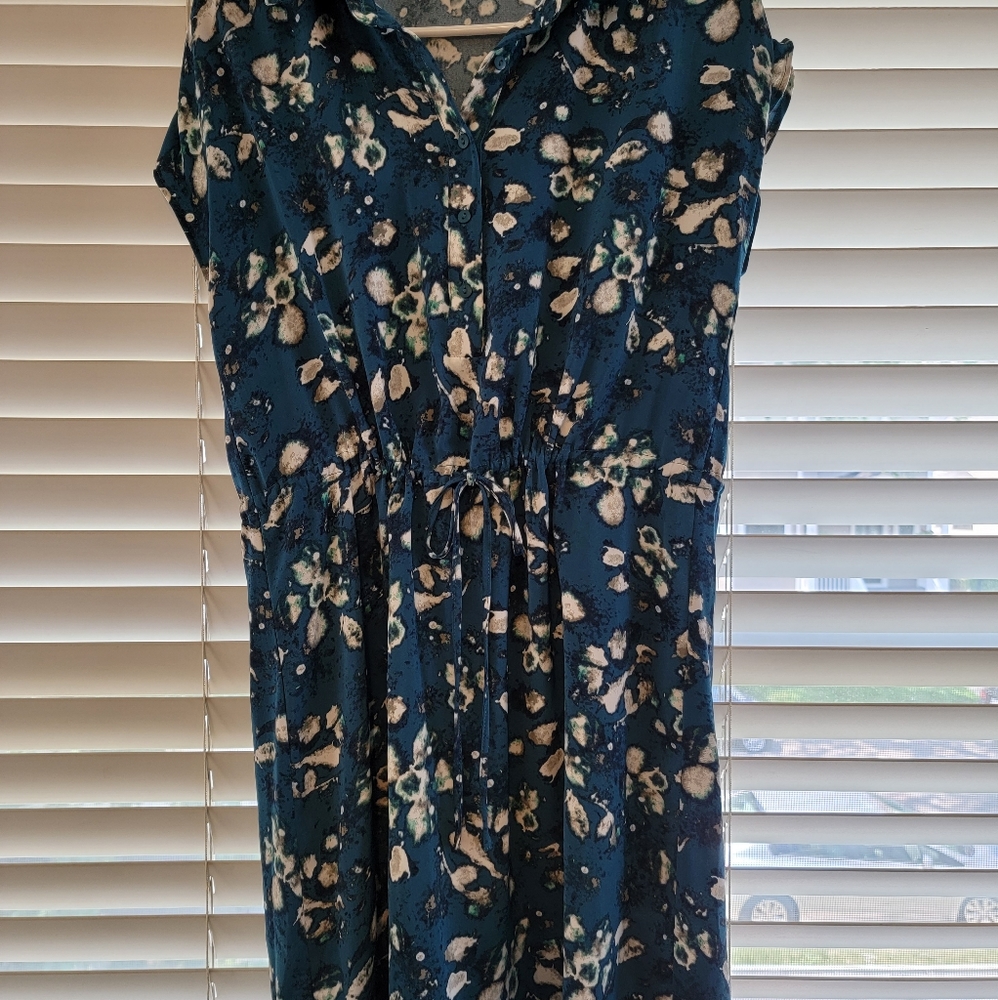 41 Hawthorn Isadora tie waist print shirt dress
